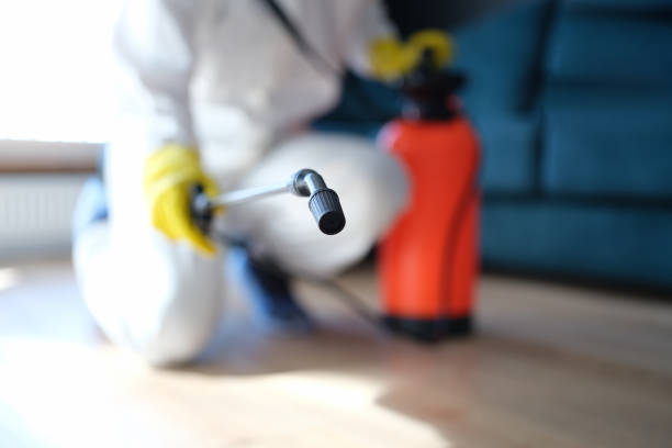 Best Air Quality Testing for Mold Spores  in Wareham Center, MA