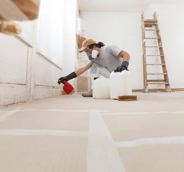 Best Mold Prevention Services  in Wareham Center, MA